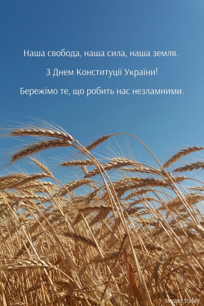 привітання до дня конституції на фоні пшениці та блакитного неба